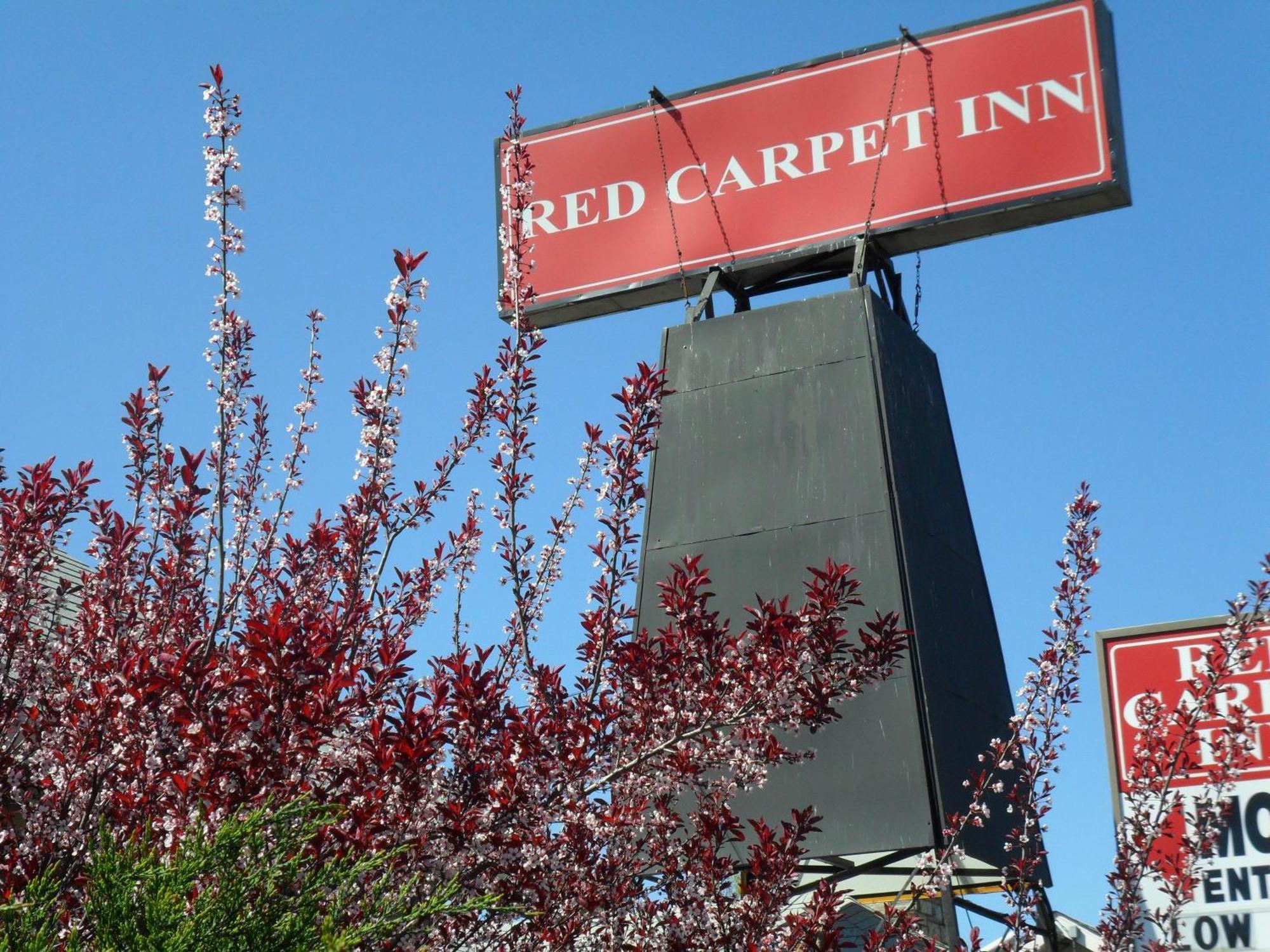 Red Carpet Inn Brooklawn Екстериор снимка